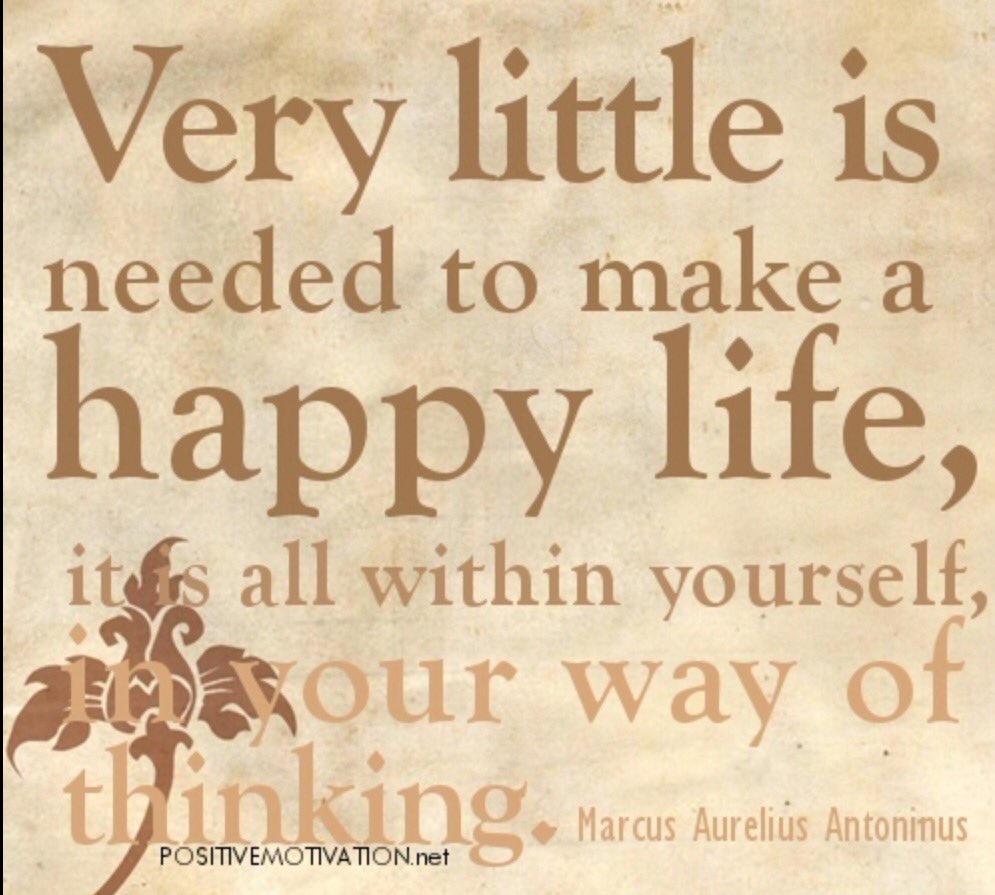 OrrangeGreenDot's tweet photo. #CarrotManHappiness change your thoughts @BondadAndrea @FriedaLumiked @igorotak_pollen https://t.co/ivSg2oTlnL