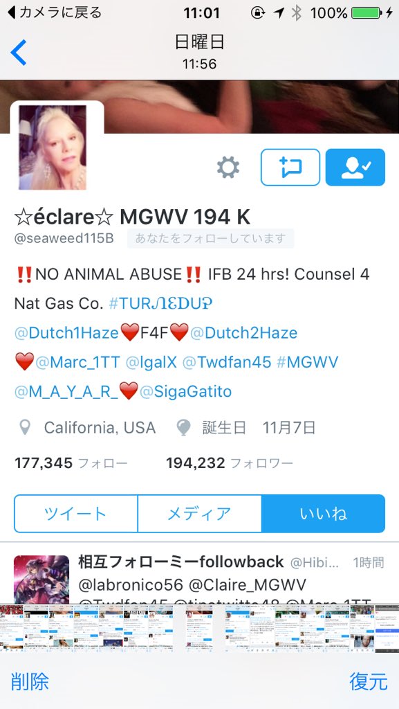 igarasi Naruki（BLue） tweet media