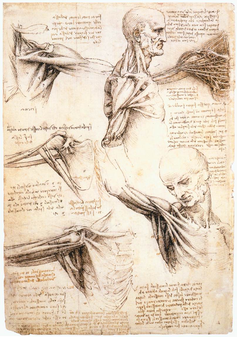 art tweet media
