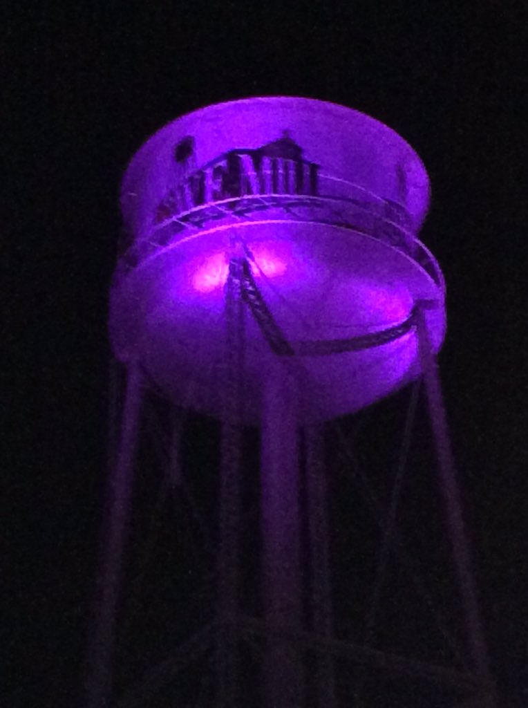 making the water tower purple is the least I could do. #Prince #lowemill