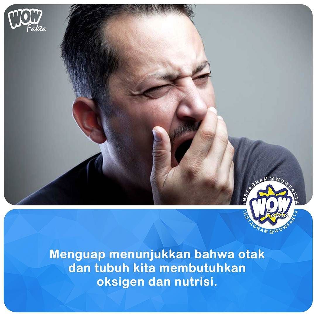 kontenwow's tweet photo. https://t.co/yhLkuLgPrg [#wowfakta] Faktagram hari ini #fakta #faktanya #mostpopular https://t.co/bbQ00ZyOOD