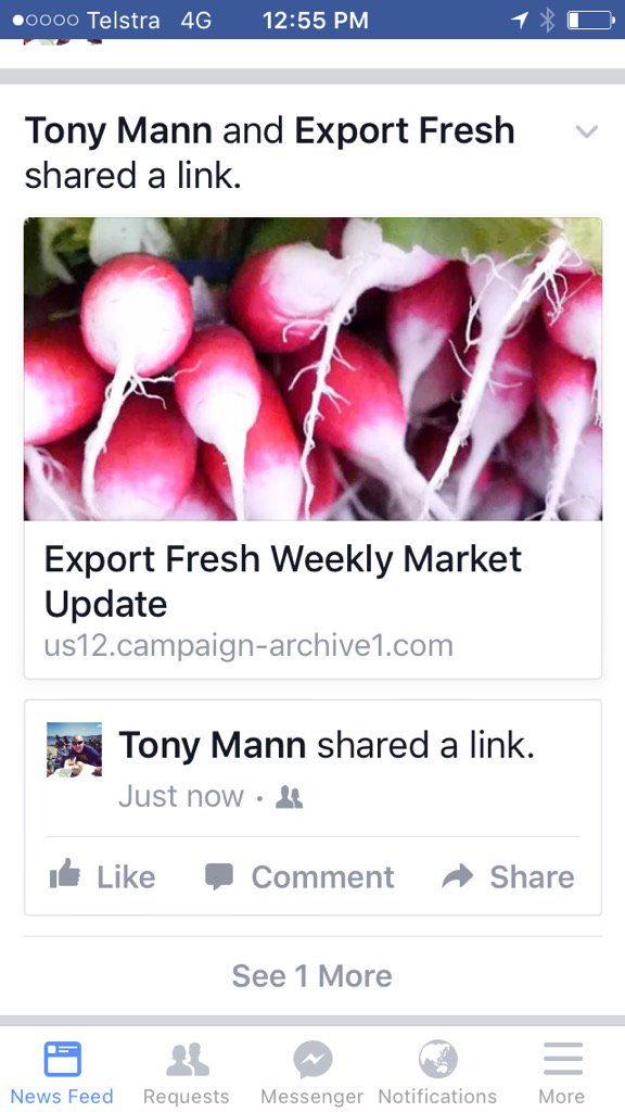 exportfreshpty's tweet photo. Link for our update this week https://t.co/KRASdlc5ib
