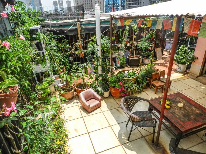 Then he started a rooftop garden of his apartment
ow.ly/4mS6Uw
#UHS #urbangarden
