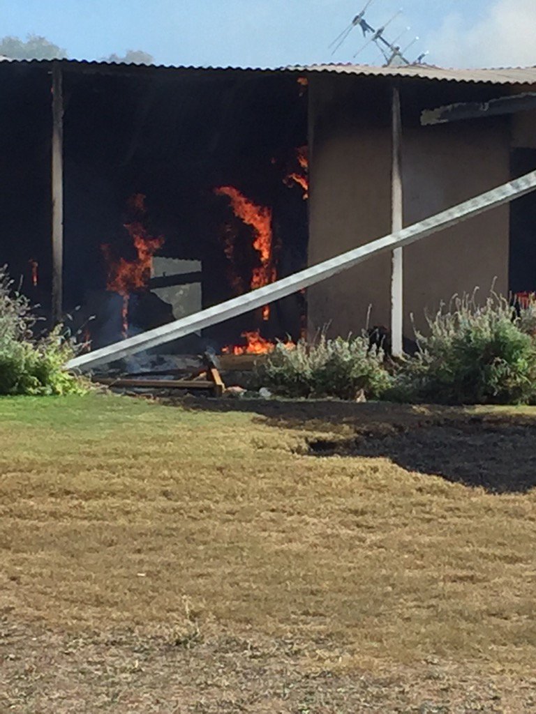 The Islander tweet media