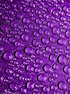 Another talented musician gone. RIP Prince.