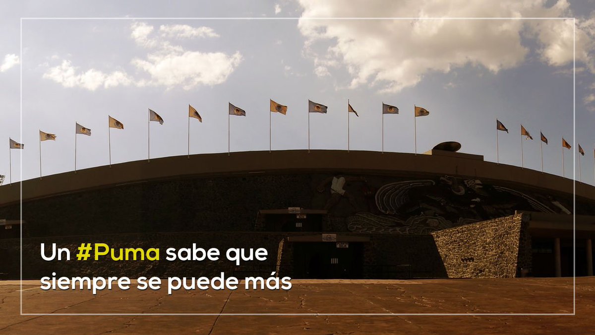 Fundacion_UNAM's tweet photo. Los #pumas lo sabemos, ¿o no? ¡Buenas noches! https://t.co/w5B344hKQC