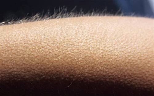 Yo No Me Llamo Javier tweet media