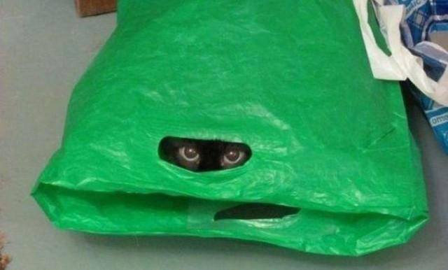 Ужас, крадущийся в ночи