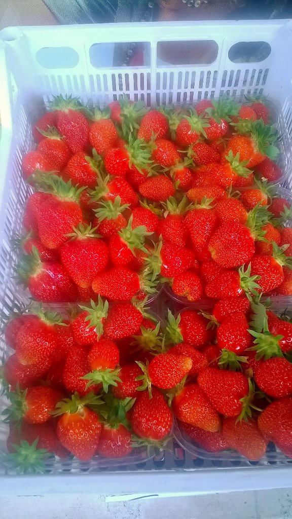imolasapori's tweet photo. Oggi fragole km zero https://t.co/65vDPCwlvi