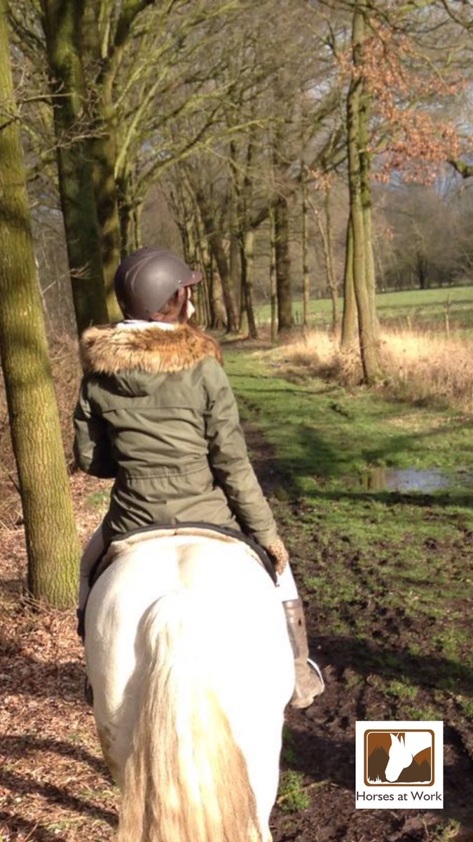 DannyNehm's tweet image. #EarthDay2016 Bossen spelen de belangrijkste rol voor het behoud van vitale levenskracht en harmonie van de natuur