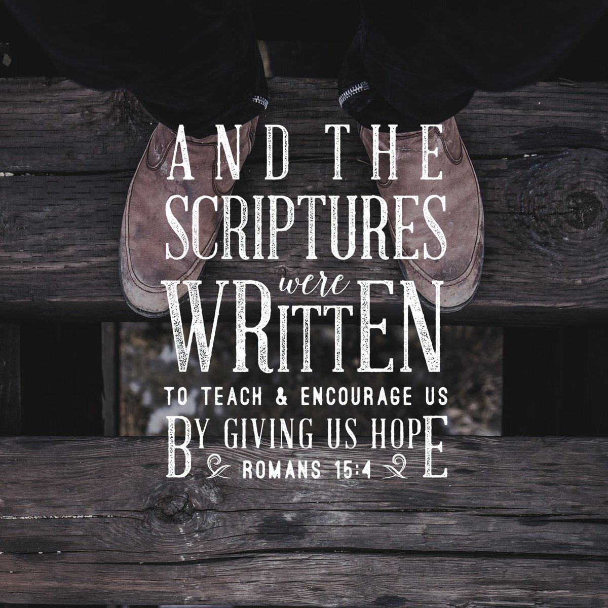 Daily_Bible's tweet photo. And the Scriptures were written to teach and encourage us by giving us hope. https://t.co/81D5VM3wCb https://t.co/wpCYHQHT8k