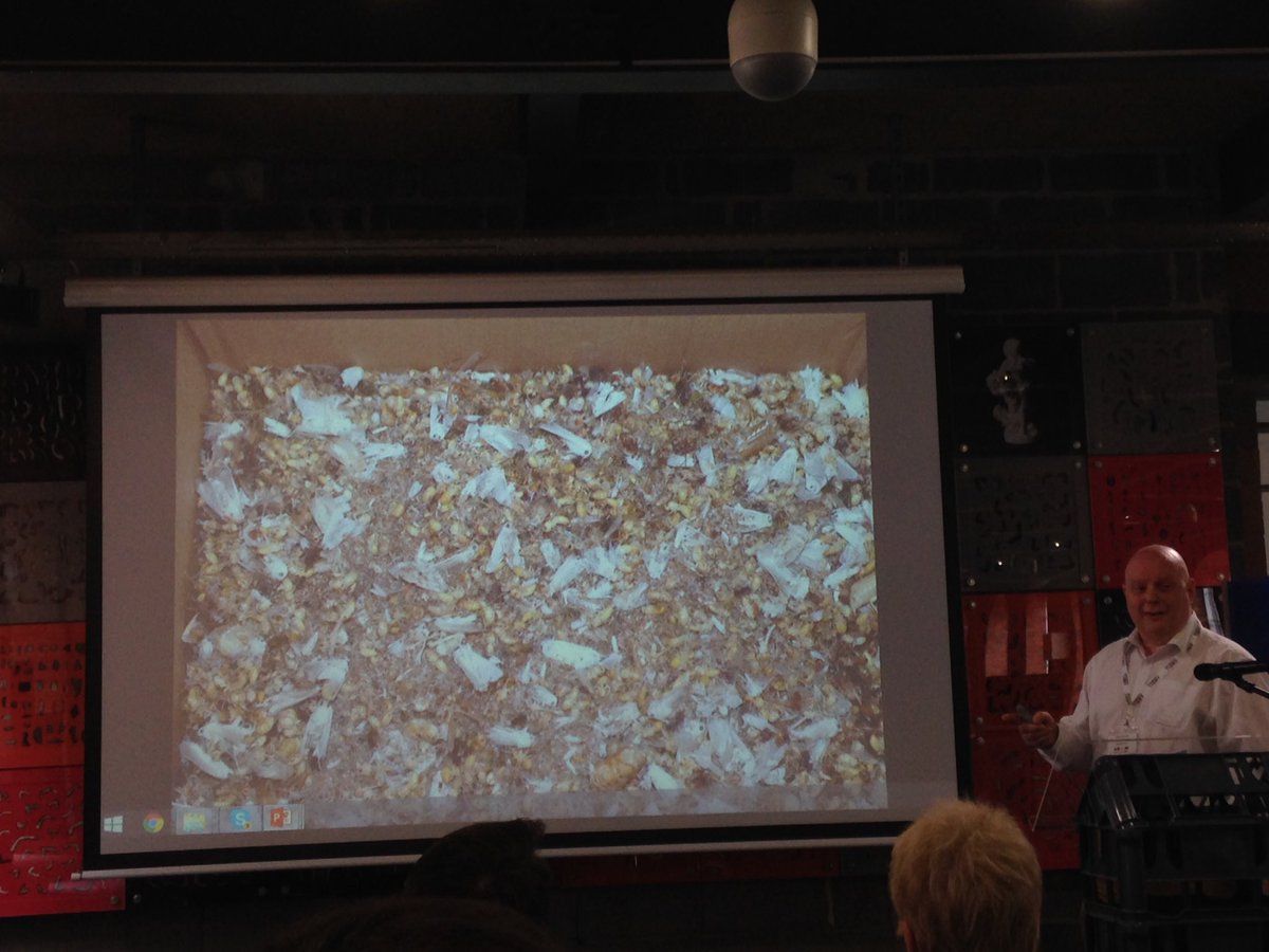 CuratorMolly's tweet photo. OH THE HORROR! @Tuatara_9 #NatSCA2016 But a fantastic talk on the strength of collections for outreach &amp; education! https://t.co/vZp4U52cxE