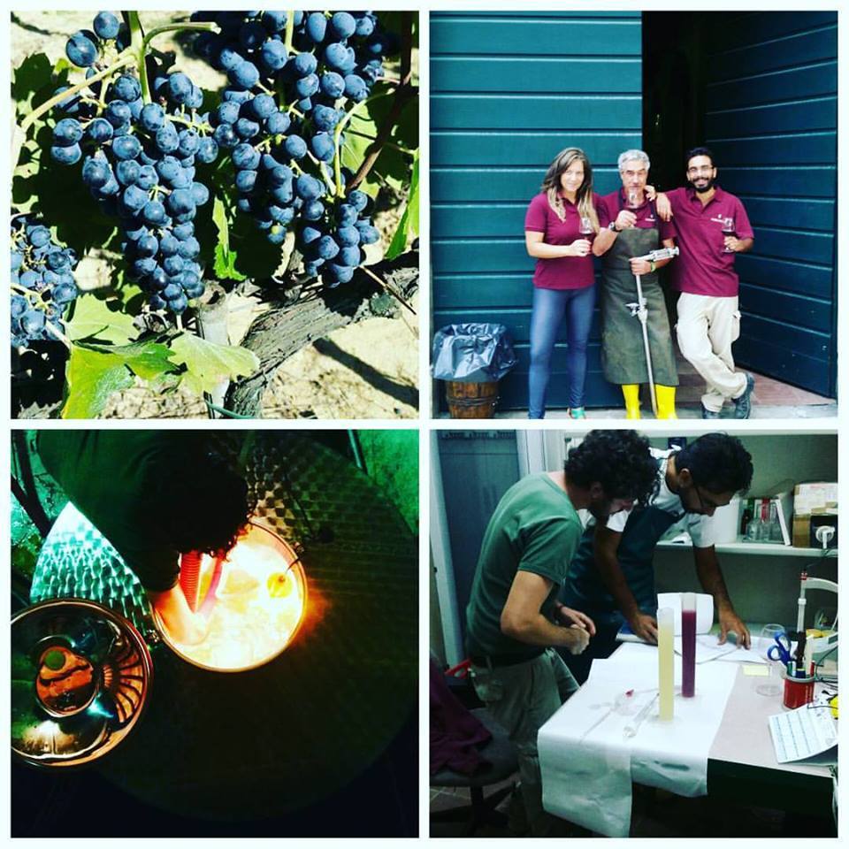 FATTORIA VARRAMISTA: da Montopoli ad #AnteprimaVini della #CostaToscana.
facebook.com/16266726378573…