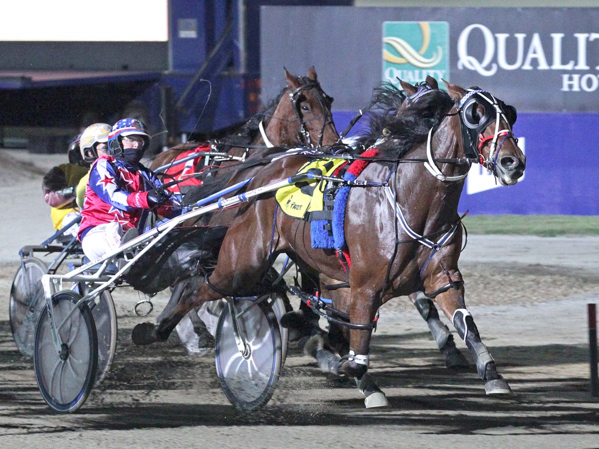TheTrotsComAu's tweet photo. Ideal Success (5G, American Ideal/Maheer Glen) wins the Carbine Chemicals Pace for @KerrynManning in 1:57.7. #Trots https://t.co/uXNvRI2IGZ