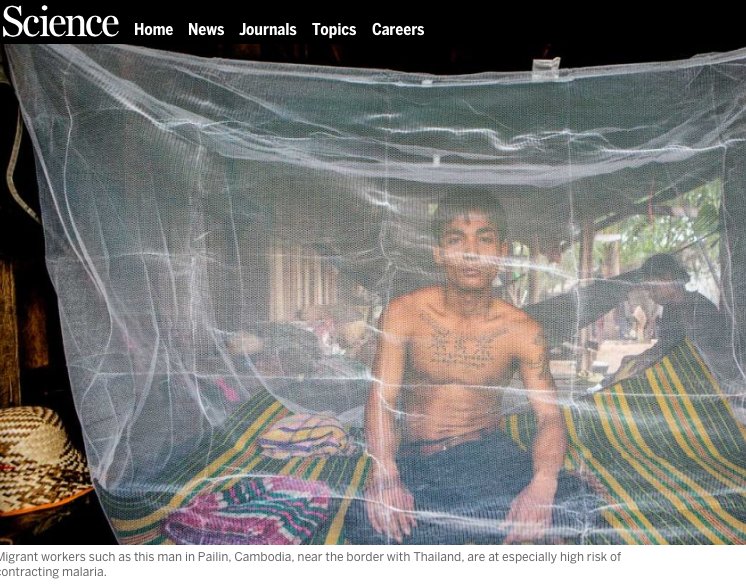 johnbleho's tweet image. Wow, big congrats to my @MORUBKK friends &amp;amp; everyone working to wipe out #malaria bit.ly/1qFWaNS @NDMOxford