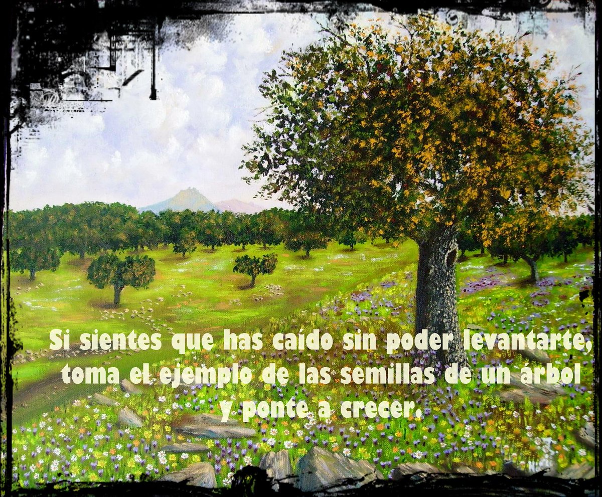 Hlr2906Hilary's tweet photo. #FFcompys @Anabell74Ana @AgustinBotines @raquelrz1 @IsabelFraca @Jonxuxito #FelizViernes Hoy #DiaDeLaTierra Besos https://t.co/zZdsCASI3i