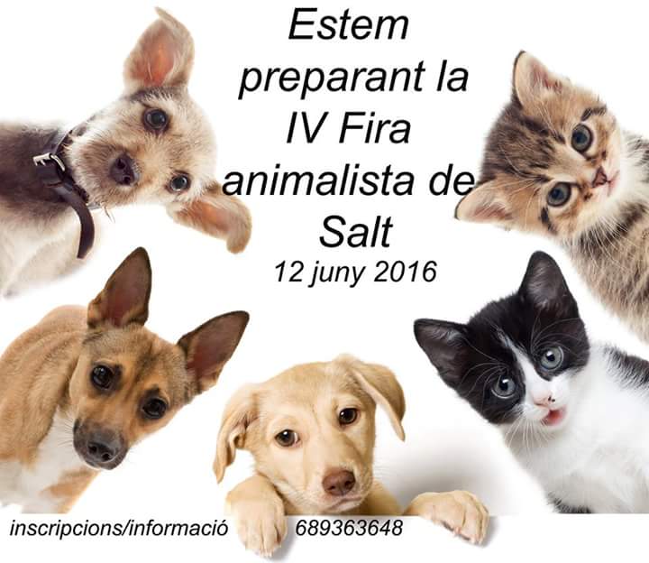somamics_cat's tweet photo. .@pacmacatalunya 
#firaanimalistasalt https://t.co/g3CaoO6q16