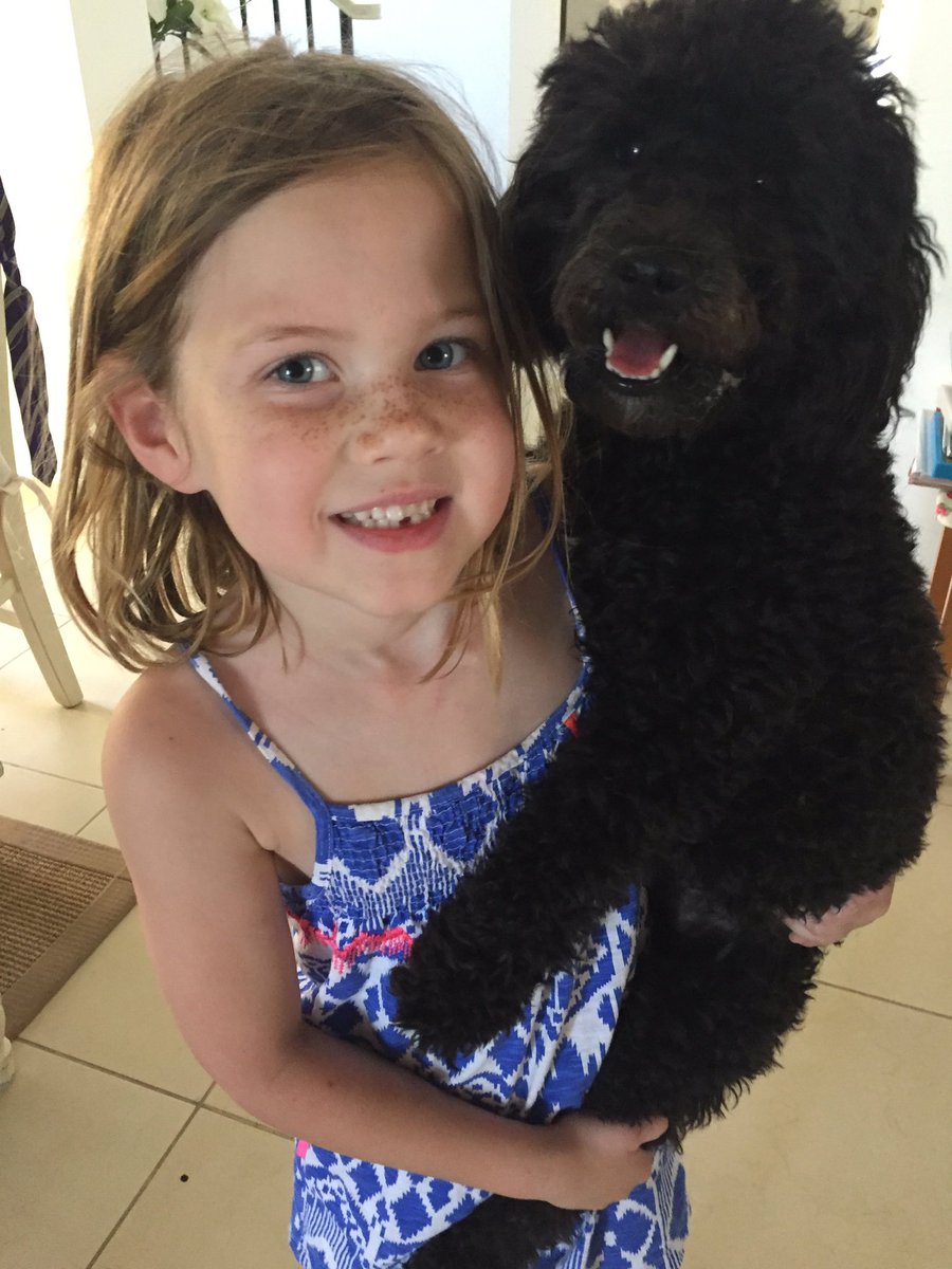 suzi1302's tweet photo. @JennieGregson @DaveRussell18 Ava and Daisy #BFF https://t.co/5qiMKcBMSB