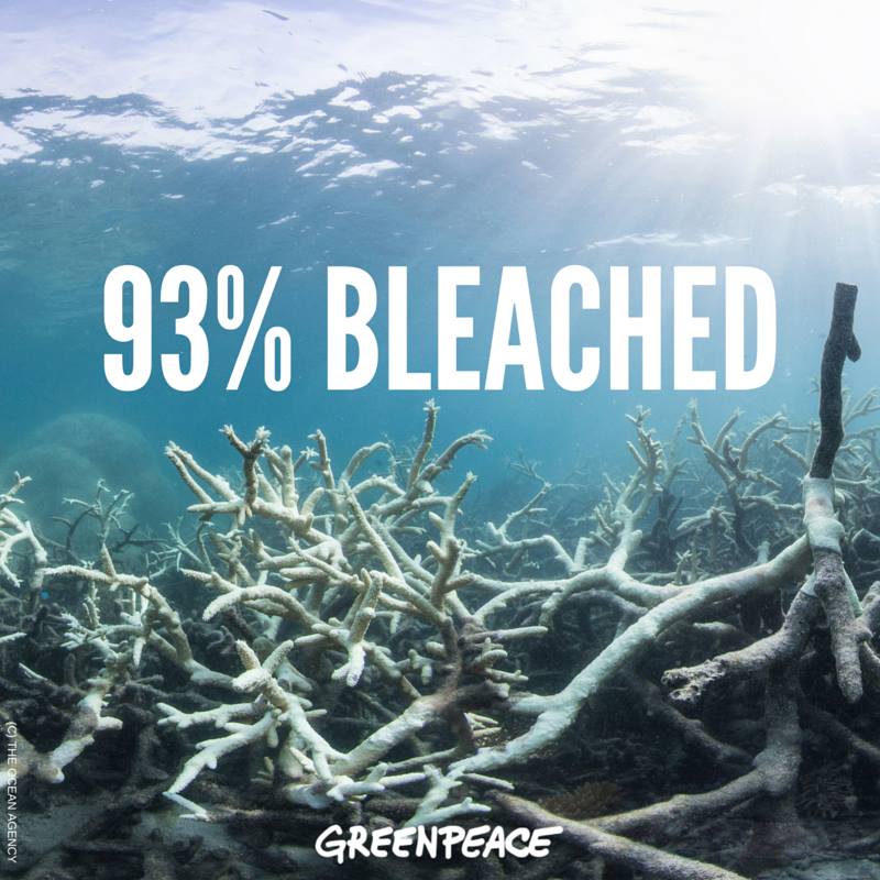 Greenpeace's tweet photo. Australia’s carbon exports are killing the reef #SavetheReef https://t.co/f30ZfEfMeY https://t.co/z7yqFBzm5A