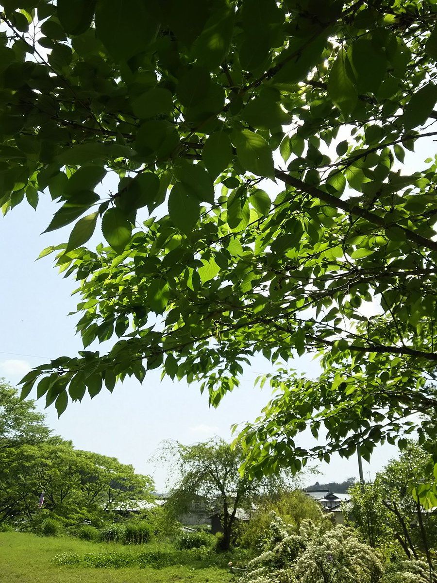 [SORAフォト]毎日更新、待ち受けにもできます weathernews.jp/android/ich/so… #ichannel