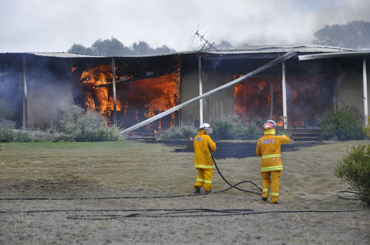 Shane Hendrickson tweet media