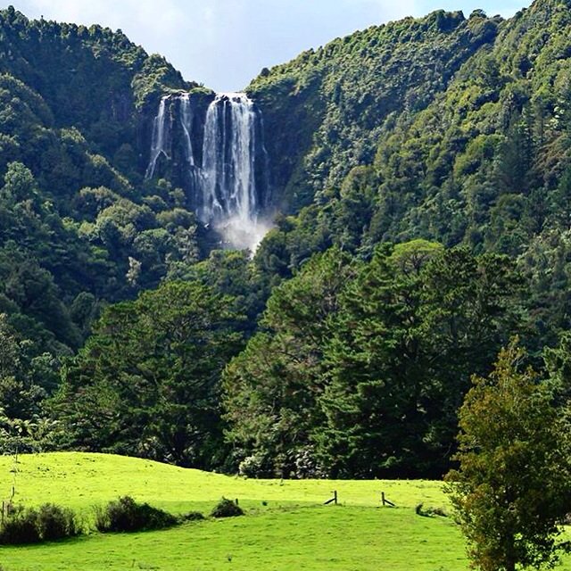 EscapeplanNZ's tweet photo. We took on Wairere Falls the other weekend, new blog post up on the site now. https://t.co/J81EbIVK4f