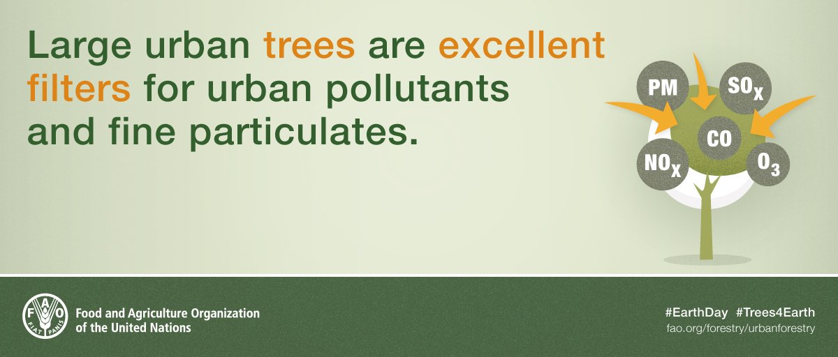 Happy #EarthDay! Planting trees today is essential for future generations! bit.ly/1YKaccu #Trees4Earth
