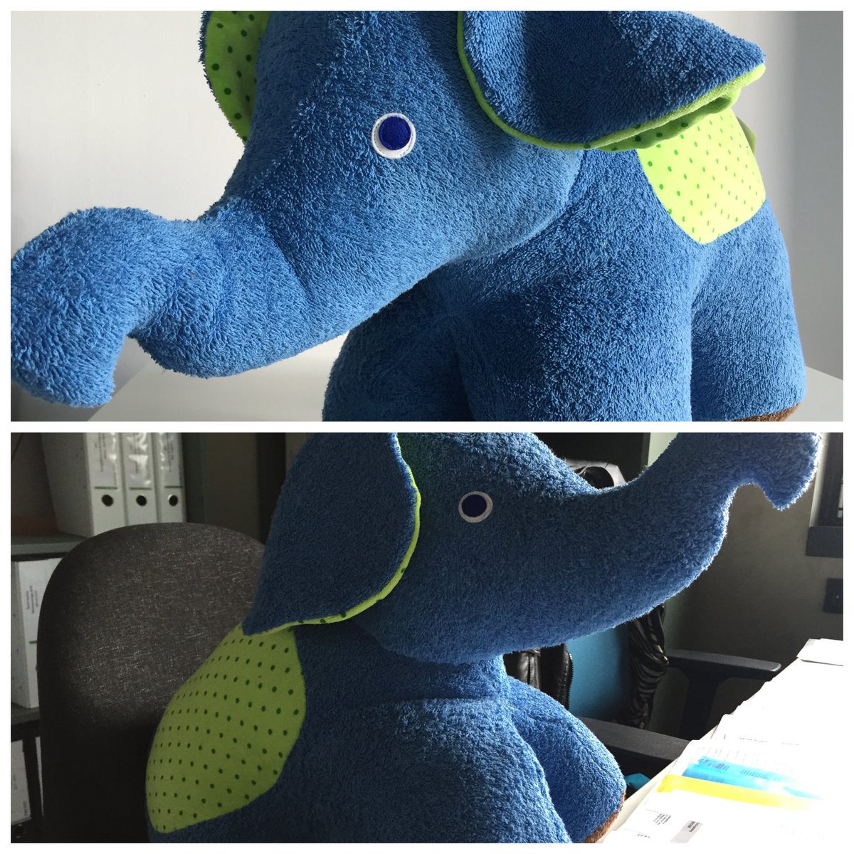 moltomedia's tweet photo. Unser Mitarbeiter Alex hat bei @greenstories_de bestellt. Auch bei uns kommt der blaue Elefant sehr gut an. https://t.co/kjgAw7dKY5