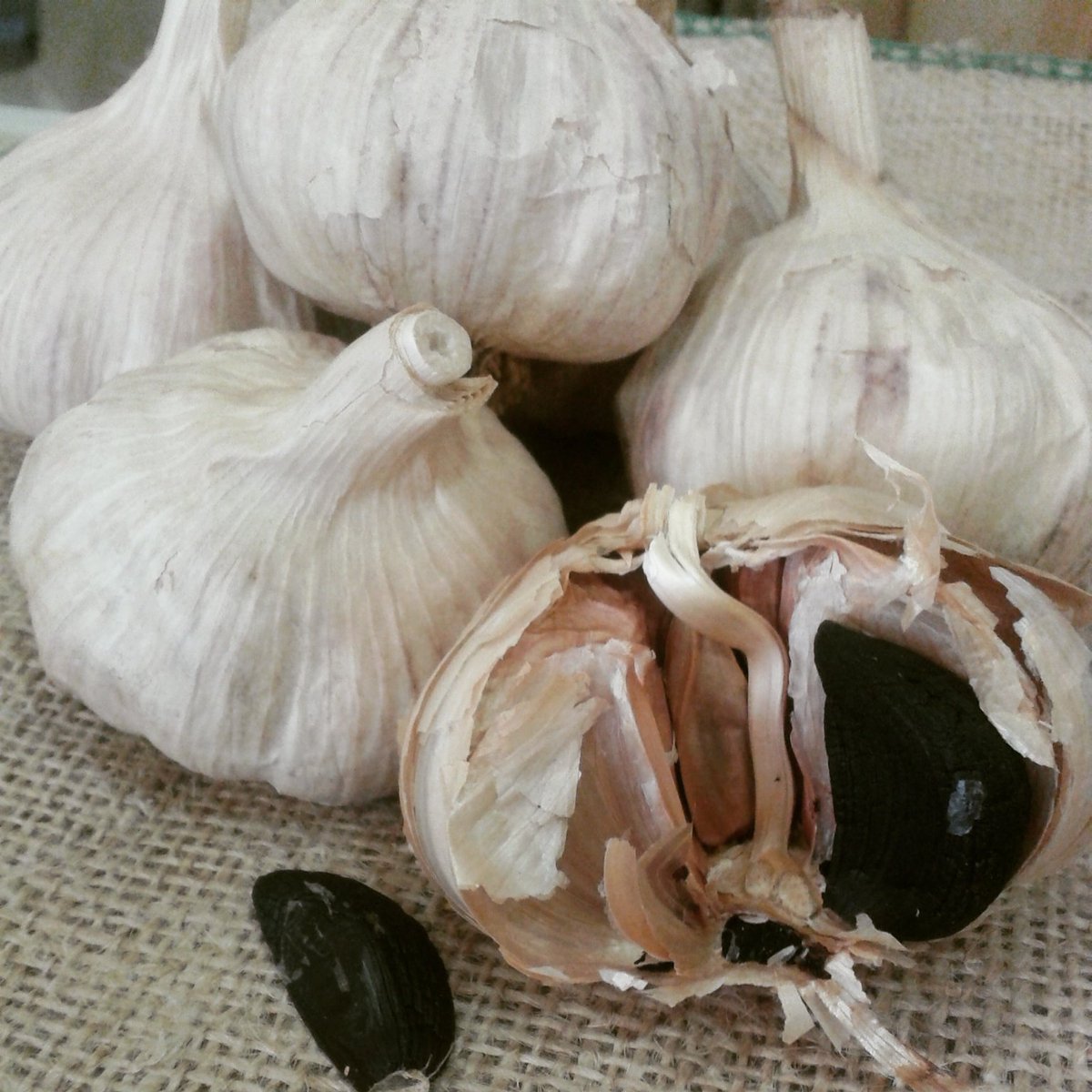 Celebrando el día de la Tierra con Ajo Negro...más de la Tierra no puede ser! #DiaDeLaTierra