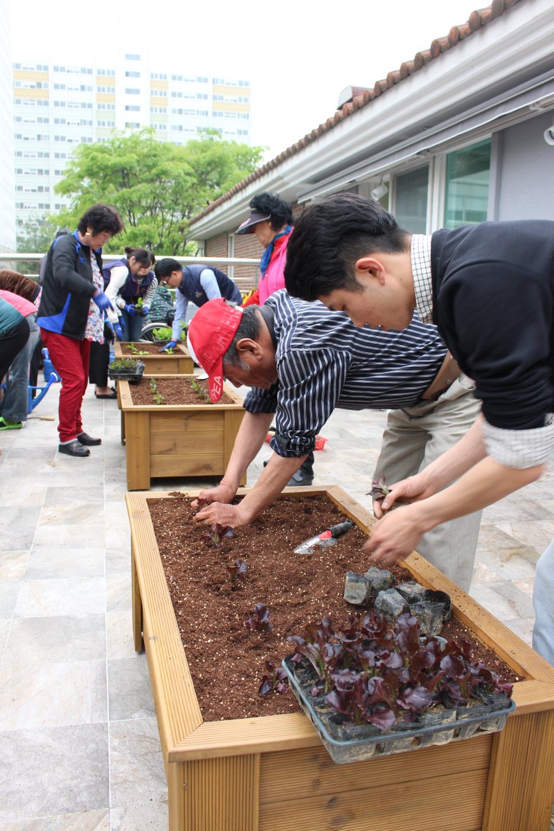 동고동락의 옥상텃밭이 시작되었습니다!
 상추 모종을 심고 잘자라길 바라면서 듬~뿍 물을 주었습니다^_^ 복지관 3층 옥상텃밭으로 다들 놀러오세요^^