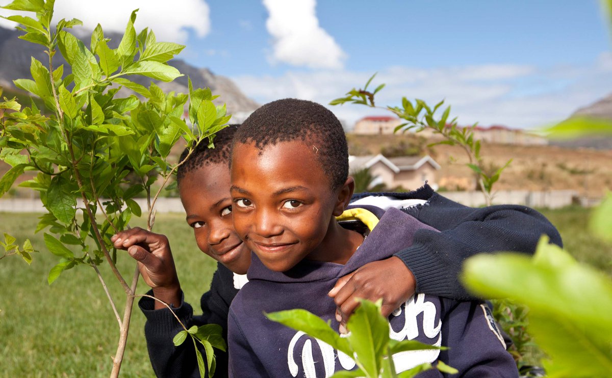 Greenpop tweet media