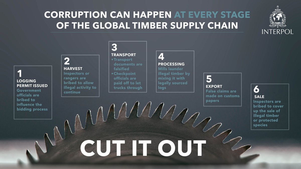 INTERPOL_HQ's tweet photo. Let's cut corruption out of the global timber supply chain in order to protect the world's forests. #EarthDay https://t.co/8CnxKuyB7i