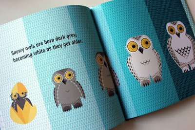 GMCbooks's tweet photo. The whole @mibostudio series was reviewed by @TheBookwormBaby "Bold, graphical &amp; colourful" https://t.co/h4TKp3xr0D https://t.co/ZsVRYnxlEO