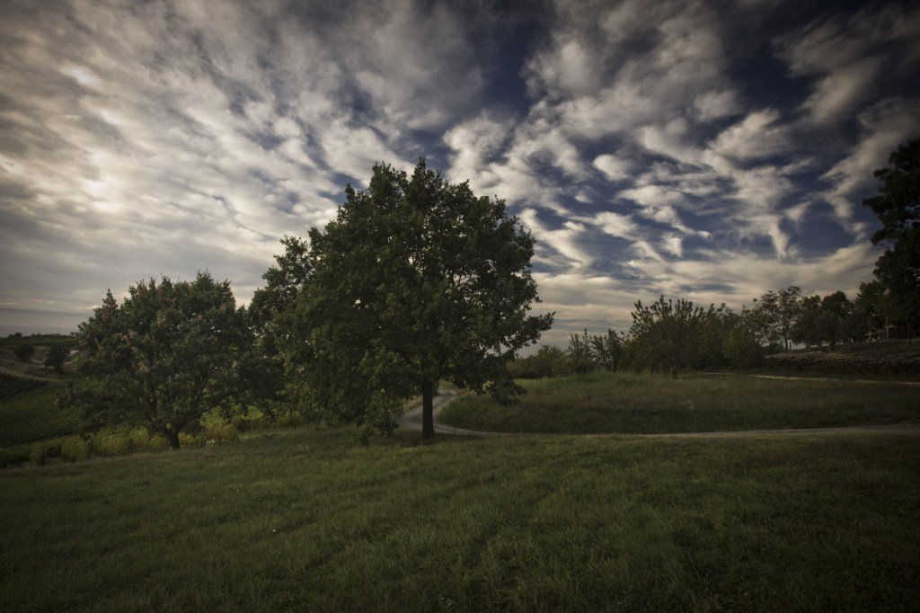 I 5 motivi per assaggiare i Gavi di San Pietro. E attenzione, in particolare, al punto… goodwines.tips/i-gavi-di-san-…