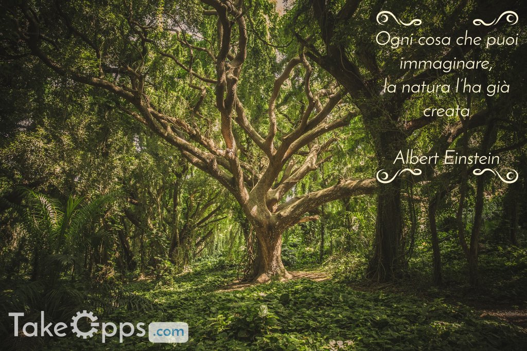 #EarthDay! La #social #innovation come strumento per uno sviluppo sostenibile. #Savetheplanet #GiornataDellaTerra