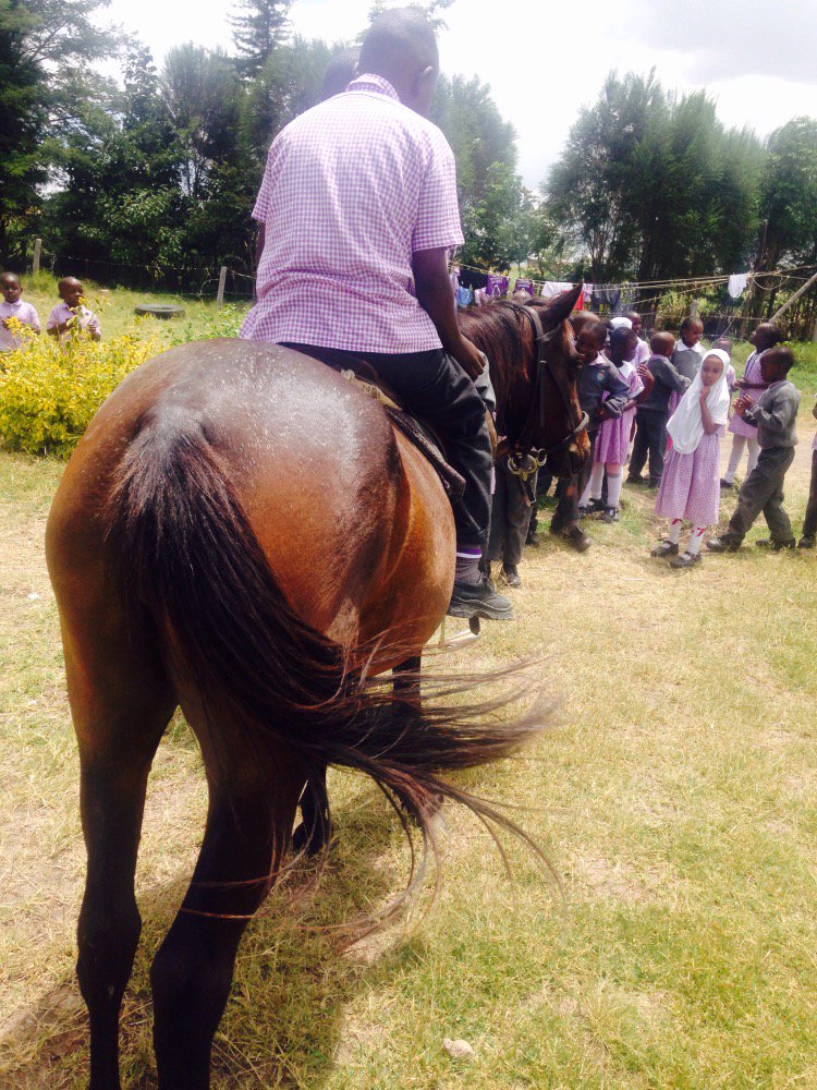 School trips are amazing coz the kids love horse-ridin.....looking forward to the new semester.