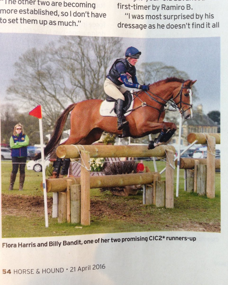 CharlotteAitke1's tweet photo. Great to see super cool Billy Bandit in this weeks @horseandhound @bedeevents @FHEventing #Billystud #future๐ https://t.co/EyDXOW2k8n
