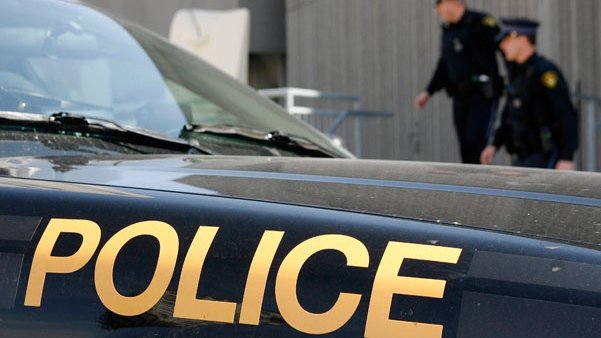 CP24's tweet photo. OPP called to break up 'domestic dispute' between man and pet parrot in Brighton, Ont. https://t.co/54vquL0P5X https://t.co/MbCjLeiNPL