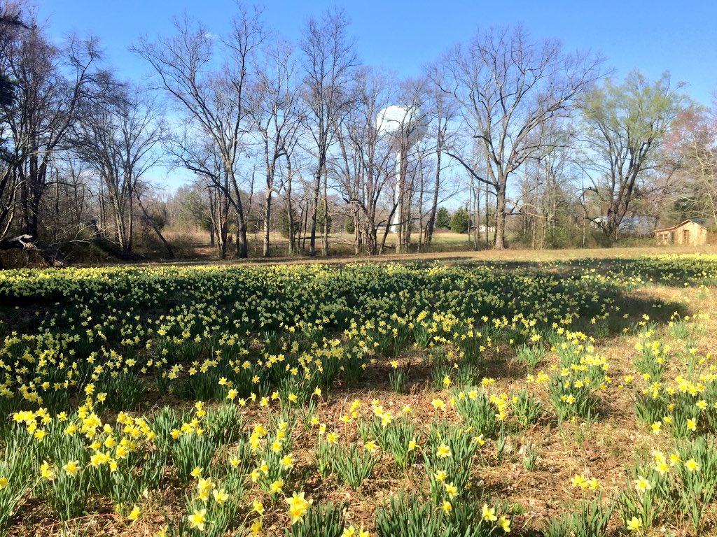 VeloVixens's tweet photo. Happy #EarthDay from Chattanooga #423 🌎🌼♻️ https://t.co/0qycfbjFsq