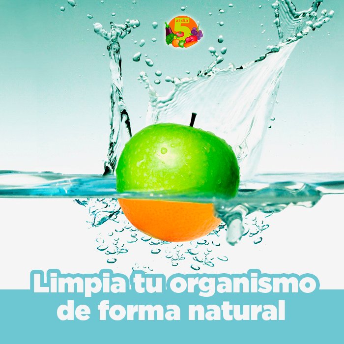 5aldiachile's tweet photo. ¿Retención de líquidos? 
Te aconsejamos comer 5 al día de F&amp;V, te ayudarán a limpiar tu organismo https://t.co/MJoDheXrW5