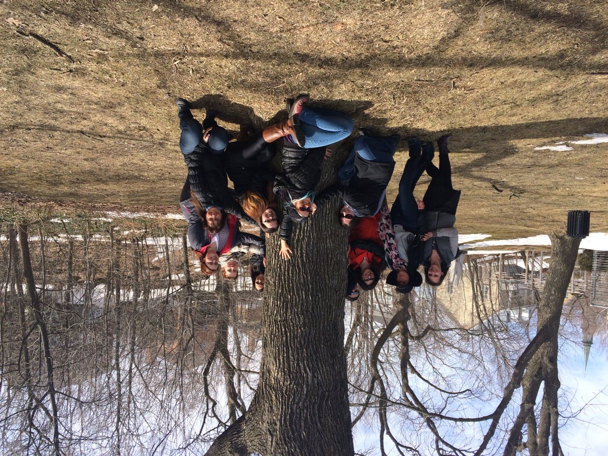 ECOCERTCANADA's tweet photo. #JourdelaTerre : Nous avons participé au défi "Hugs for Trees" lancé par le @EcocertGroup et voici nos photos : https://t.co/UnpuyfQdet