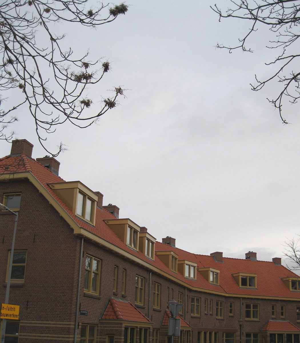 Eerste woningen Van der Pekbuurt #Amsterdam opgeleverd. #dakrenovatie <a href="/WeijersEikhout/">Weijerseikhout</a> in opdracht van <a href="/DuraVermeer/">Dura Vermeer</a>