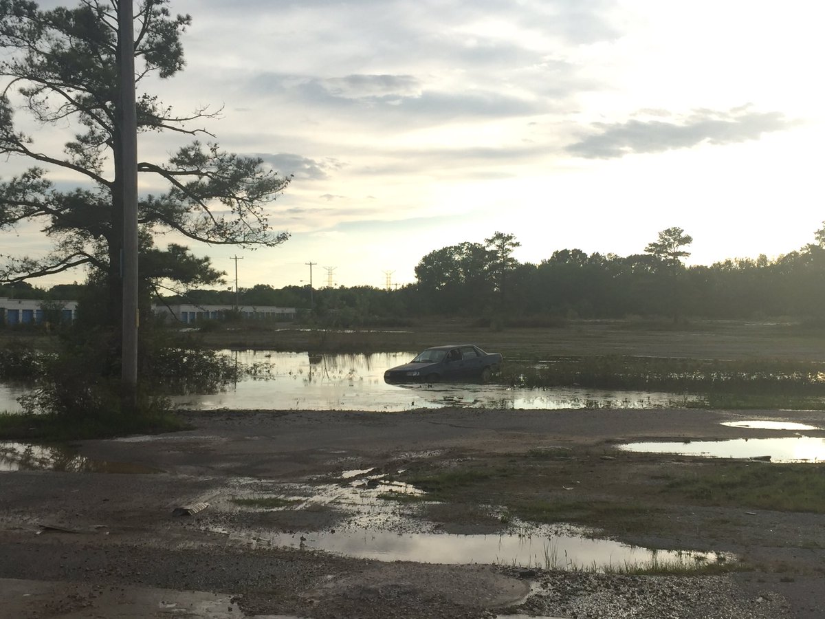 Local24Sam's tweet image. Ppl always ask me what's the weirdest thing I've seen as a photog &amp;amp; this might've taken the cake yesterday.