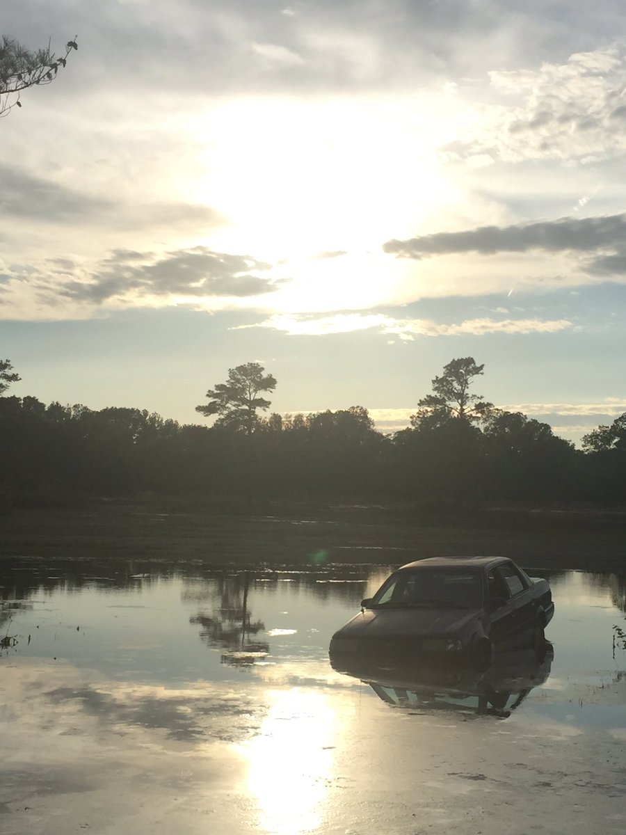 Local24Sam's tweet image. Ppl always ask me what's the weirdest thing I've seen as a photog &amp;amp; this might've taken the cake yesterday.