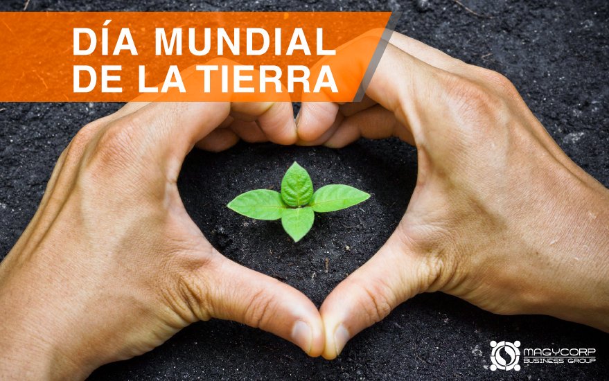 Magycorp_BGroup's tweet photo. Martin Luther King solía decir: "Si supiera que el mundo se acaba mañana, yo, hoy todavía, plantaria un árbol." https://t.co/ZOAV8QWmoA