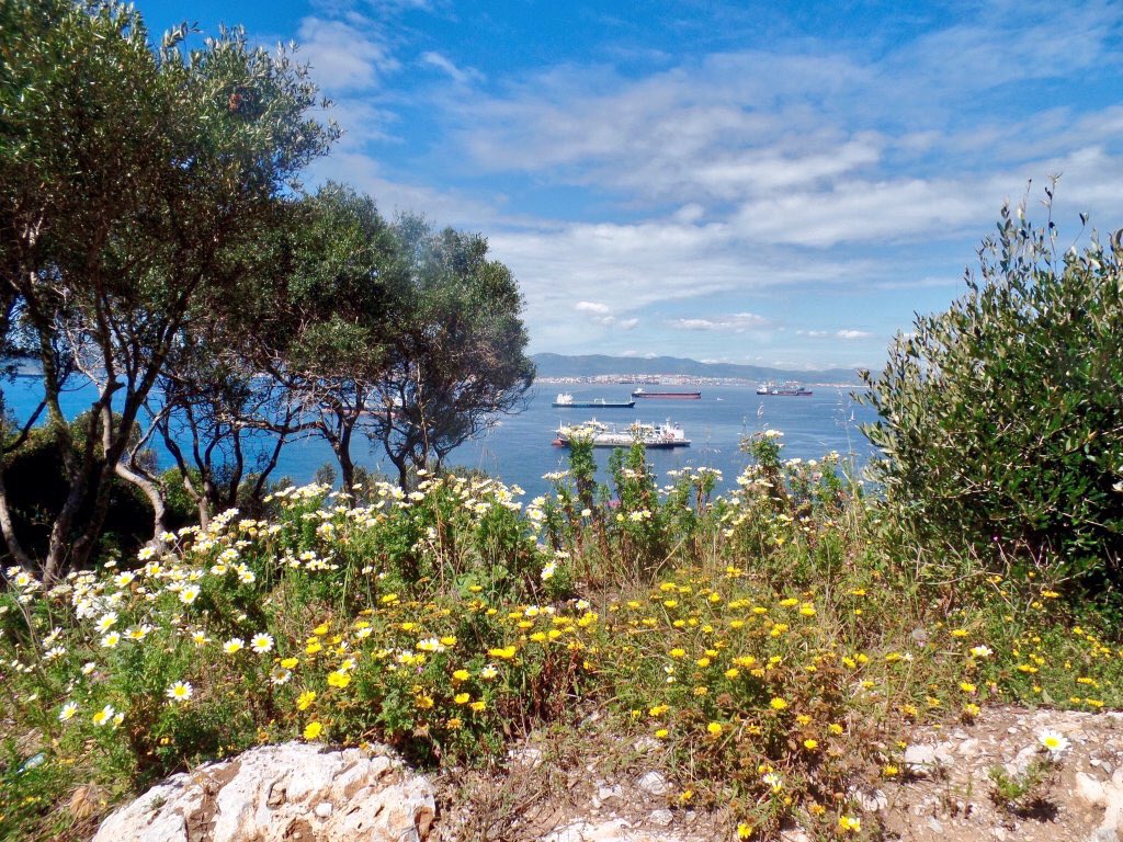 gibraltar_hour's tweet photo. #Gibraltar on a beautiful warm spring day. #BeautifulDestinations Images courtesy of @jessjewlry #promoteGibraltar🇬🇮 https://t.co/1CVqd4Iwzu
