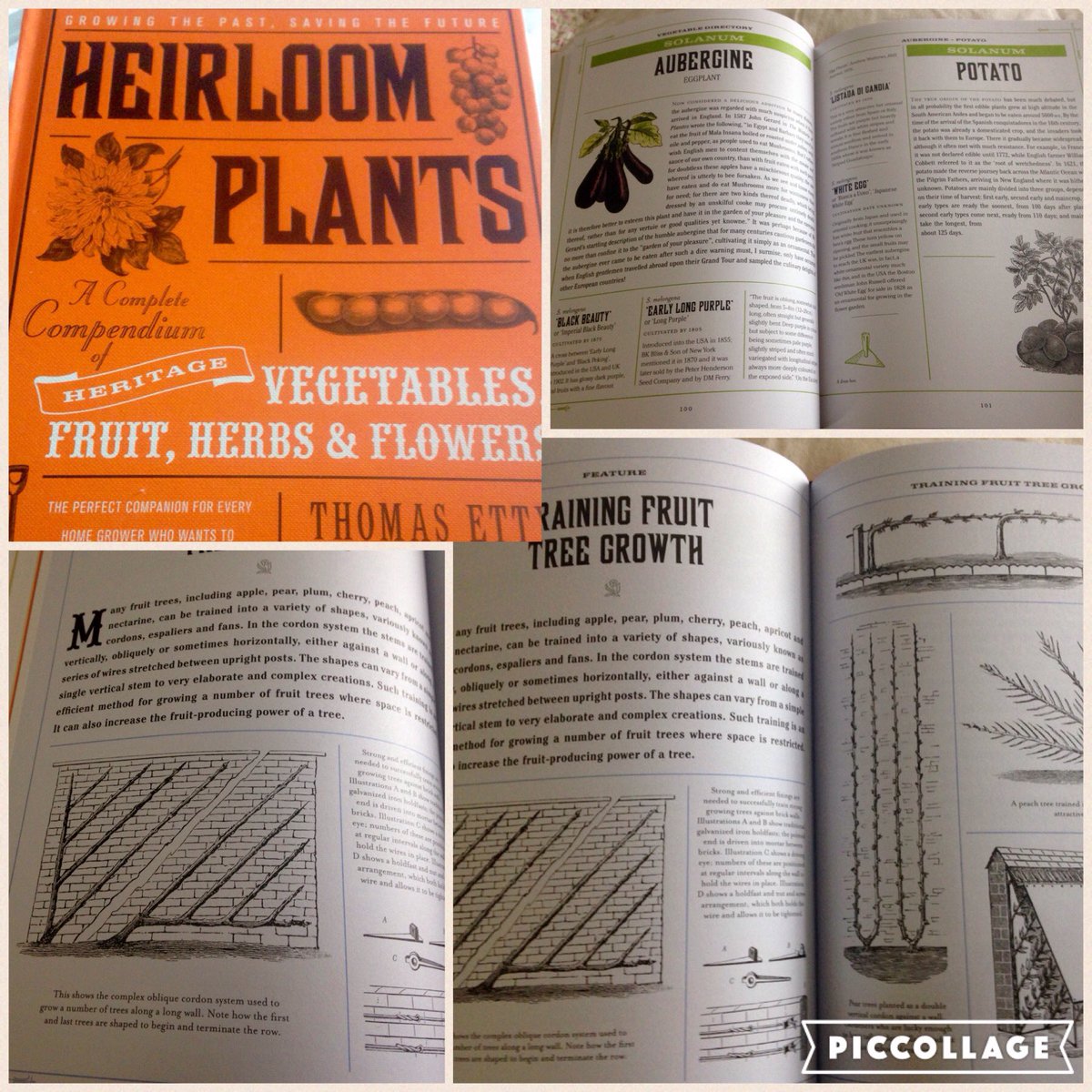 <a href="/Ivy_Press/">Ivy Press</a> Thank you so much for my beautiful book that arrived today. It's giving me so many ideas ☺️☺️ I love it