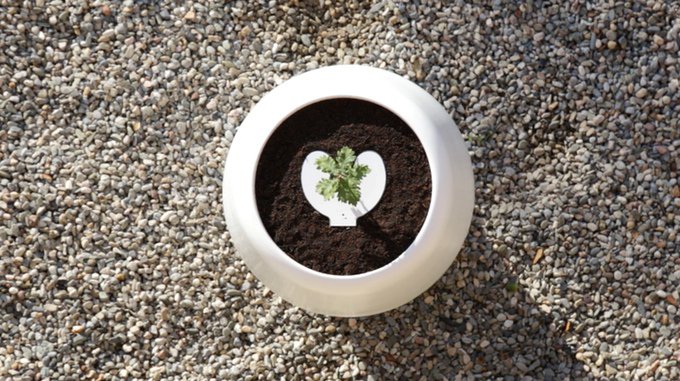 diyzer_com's tweet photo. Green Gadgets: What’s New And How They Help
#GreenTech #biotech
https://t.co/jS2LAkgaUR https://t.co/B9Ry9ZtRTo