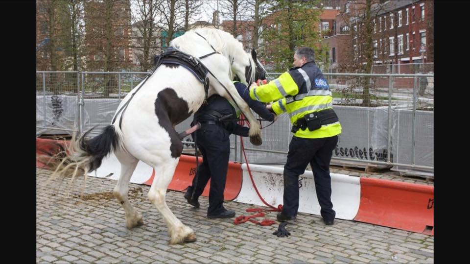 TragtimePodcast's tweet photo. Lest we forget that time in Smthfield, &amp; We translate the first all irish porn mag.  https://t.co/J8ZYuUrwx7 https://t.co/FJ3IGWMoUl