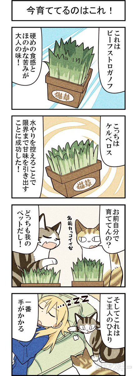 趣味の話ができる友達っていいよね 週アスCOMIC「我々は猫である」第63回 - 週刊アスキー https://t.co/T3bS1UJ7nM 